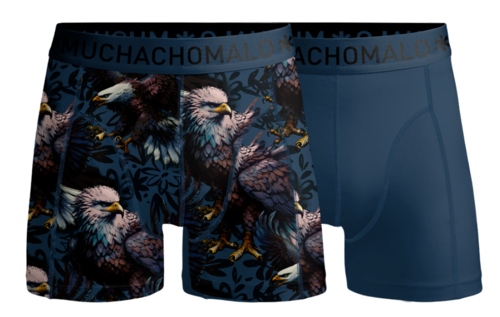 Men 2-pack Boxer Shorts print/solid EAGLE1010-01 Print/Blue