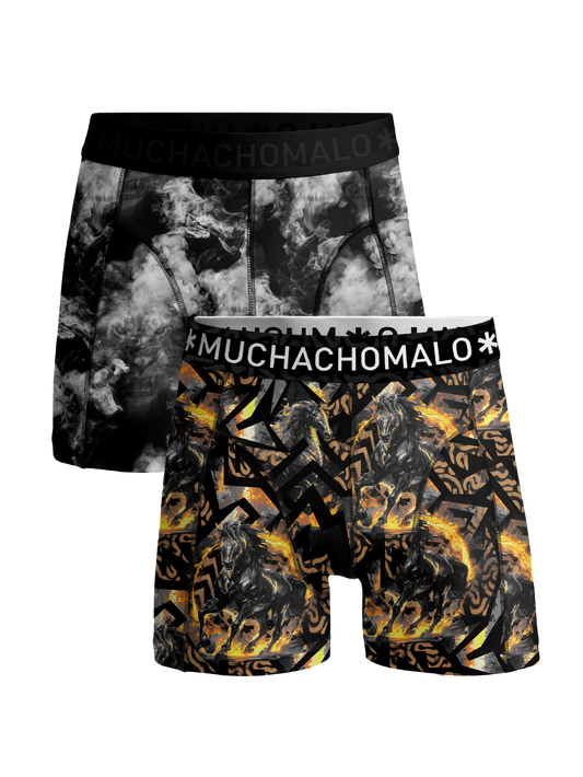 Men 2-Pack  Boxer Shorts FIREELEMENTS1010-04 Print/Print