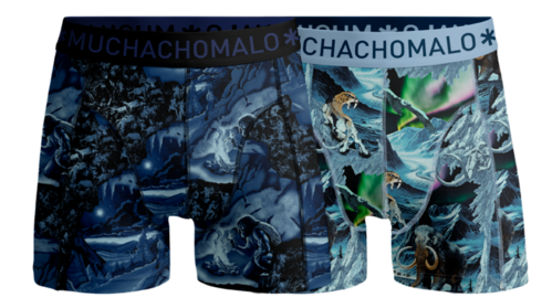 Men 2-Pack  Boxer Shorts Prehistory  PREHISTORY1010-04 Print/Print